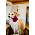 Szalik/komin/snood dla psa Warkocz mały fuksja Szalik/komin/snood dla psa Warkocz mały fuksja
