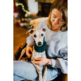 Szalik/komin/snood dla psa Links mały miętowy Szalik/komin/snood dla psa Links mały miętowy