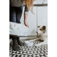 Sucha karma dziczyzna z jelenia z batatami i morwą dla psów dorosłych 12 kg Sucha karma dziczyzna z jelenia z batatami i morwą dla psów dorosłych 12 kg