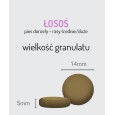 Sucha karma dla psa łosoś z pstrągiem i szparagami 2 kg Sucha karma dla psa łosoś z pstrągiem i szparagami 2 kg