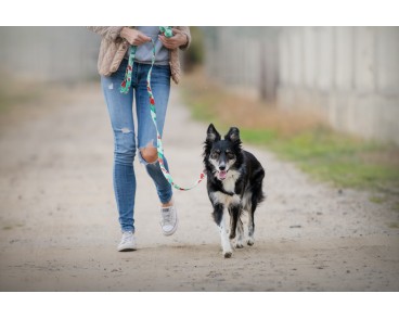Saszetka na przysmaki i etui na kupoworki