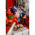 Szarpak dla psa zabawka Psia Szpulka pomarańczowo- szara Szarpak dla psa zabawka Psia Szpulka pomarańczowo- szara