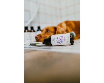 Zestaw uspokajający na uspokojenie psa  Keep Calm
