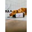Zestaw uspokajający na uspokojenie psa Keep Calm Zestaw uspokajający na uspokojenie psa Keep Calm