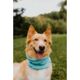 Szalik/komin/snood dla psa Warkocz mały butelkowa zieleń Szalik/komin/snood dla psa Warkocz mały butelkowa zieleń