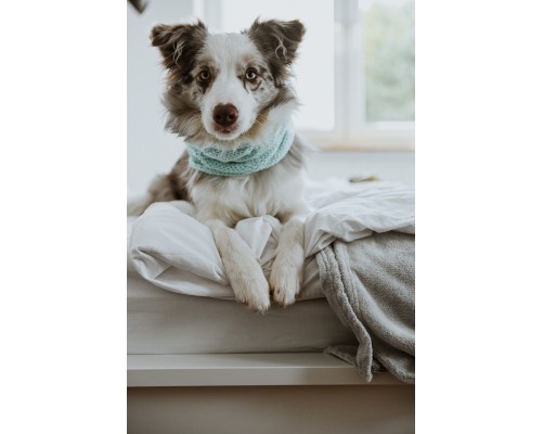 Szalik/komin/snood dla psa Warkocz duży szary melanż