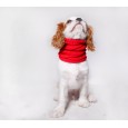 Szalik/komin/snood dla psa Warkocz duży czerwony Szalik/komin/snood dla psa Warkocz duży czerwony