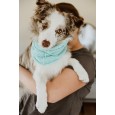 Szalik/komin/snood dla psa Warkocz duży czarny Szalik/komin/snood dla psa Warkocz duży czarny