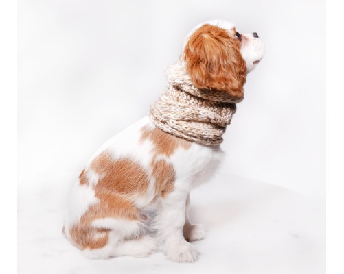 Szalik/komin/snood  dla psa Warkocz mały szary
