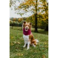 Szalik/komin/snood Links duży czarny Szalik/komin/snood Links duży czarny