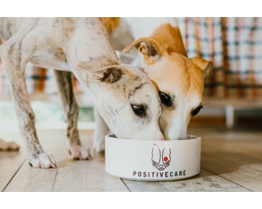 Karma hipoalergiczna dla psa GASTROINTESTINAL Zdrowie Układu Trawiennego 1,5 kg