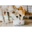 Karma hipoalergiczna dla psa GASTROINTESTINAL Zdrowie Układu Trawiennego 10 kg Karma hipoalergiczna dla psa GASTROINTESTINAL Zdrowie Układu Trawiennego 10 kg