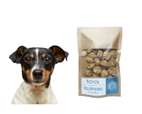 Klopsiki z królika