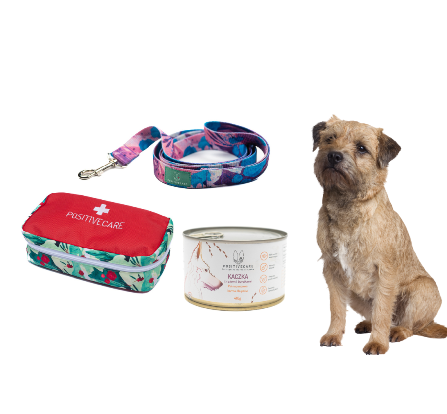 Zestaw podróżny Mały podróżnik dla psa Zestaw podróżny Mały podróżnik dla psa
