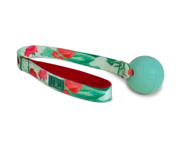 Zestaw kosmetyki i zabawka dla szczeniaka