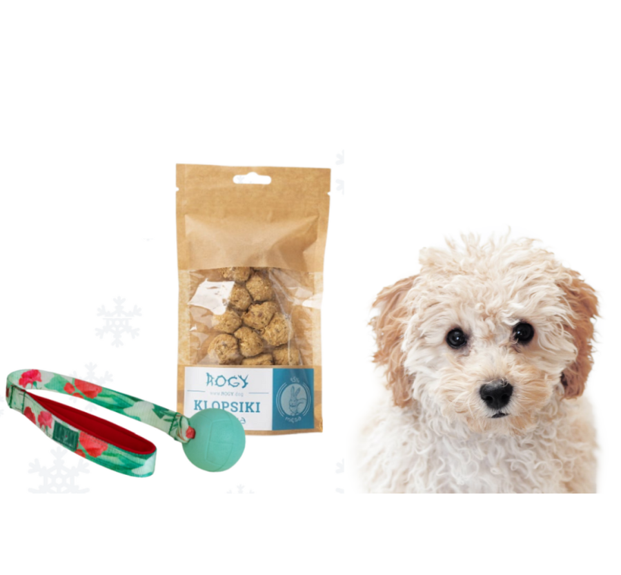 Zestaw prezentowy - zabawka i przysmaki Zestaw prezentowy - zabawka i przysmaki