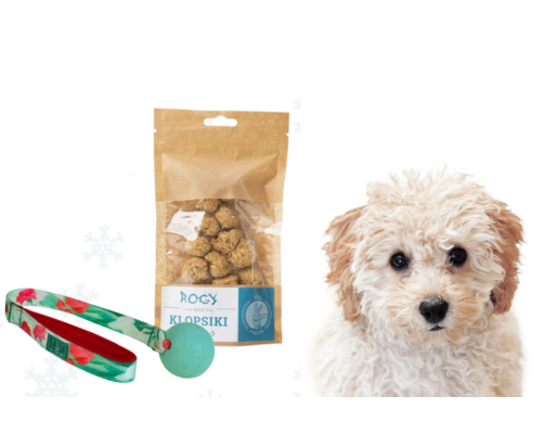 Zestaw prezentowy - zabawka i przysmaki