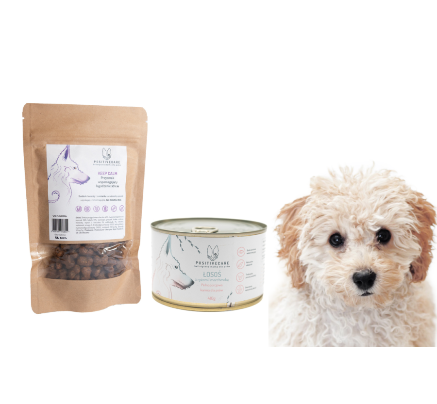 Zestaw prezentowy dla psa- karma mokra i przysmaki