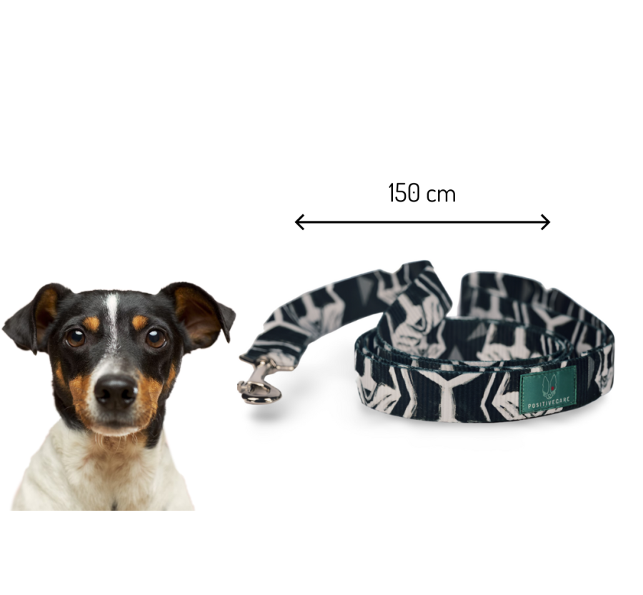 Smycz dla psa męski wzór LISY Smycz dla psa męski wzór LISY