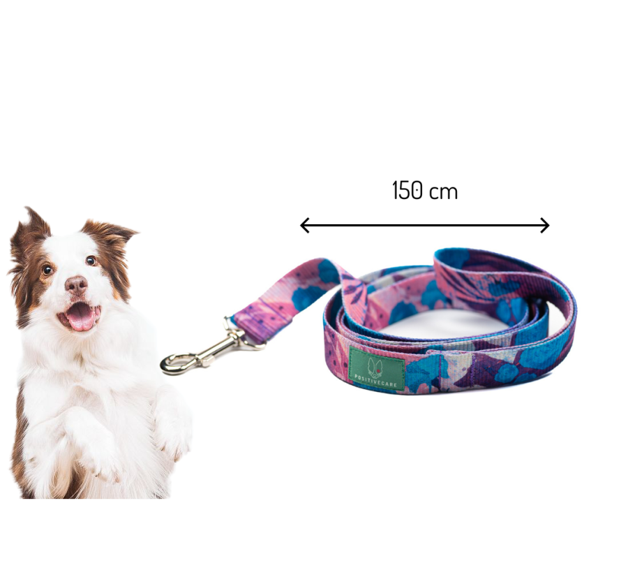 Smycz miejska dla psa "Chabrove Love" Smycz miejska dla psa "Chabrove Love"