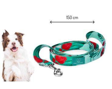 Smycz miejska dla psa Pani Goździkowa