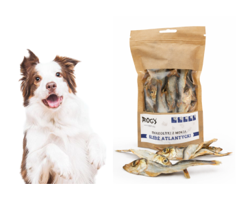 Suszony śledź atlantycki dla psa/kota