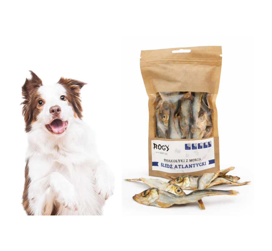 Suszony śledź atlantycki dla psa/kota Suszony śledź atlantycki dla psa/kota