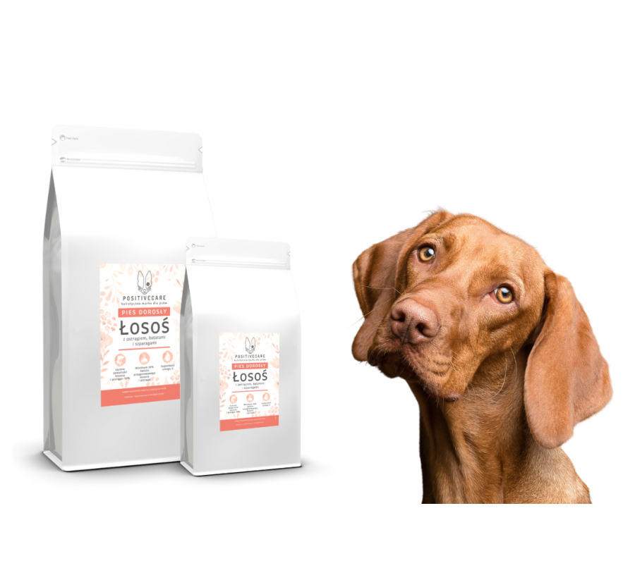 Zestaw Łosoś 12 kg + 2kg GRATIS