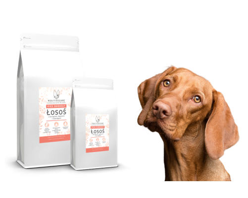 Zestaw Łosoś 12 kg + 2kg GRATIS