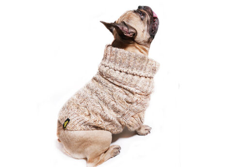 sweterek dla psa beżowy