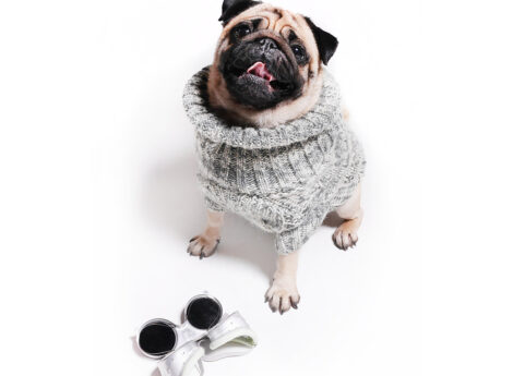sweterek dla psa szary melanż