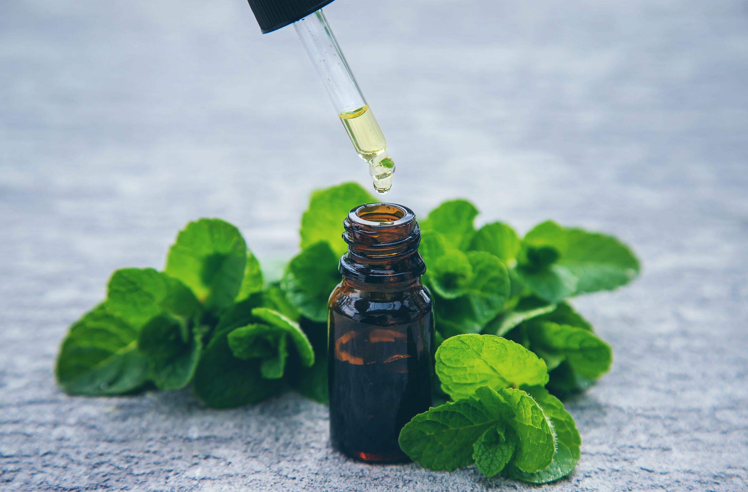 peppermint essential oil in a small bottle select 2023 11 27 04 59 14 utc scaled